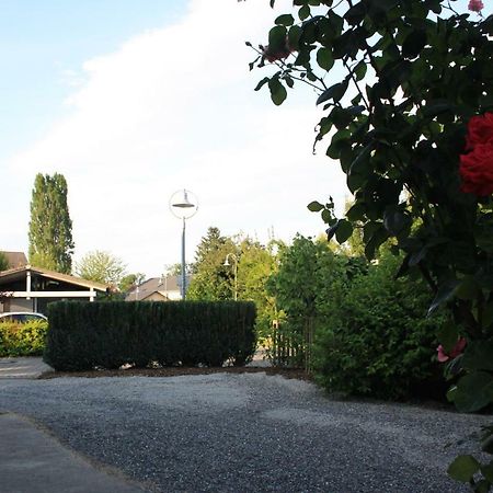 Ferienwohnung Anna - Charmante Ferienwohnung In Bevorzugter Lage Konstanz Exteriör bild